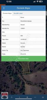 Bursa/mustafakemalpaşa/hacıali Mh