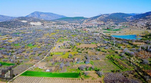 Gama Gayrimenkul'den Muhteşem Bir Meyve Bahçesi