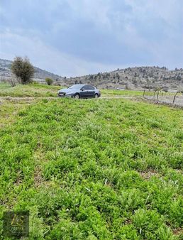Denizli Çardak Söğüt 118 Ada 73 Par 256m2 Bahçe Yolu Var