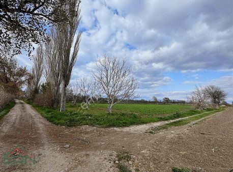 Ern Gayrimenkul'den Kızıklı Mahallesinde Anayola Yakın Tarla