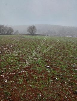 Bolu Merkez Pirahmetler Satılık Villalık Arsa