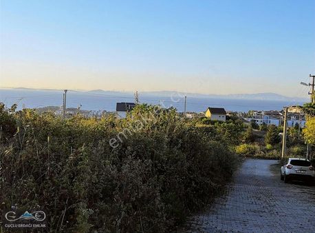 Satlık 2900m² Arsa Çınarcık Çalıca 'da Güçlü Erdağı Emlak 'tan