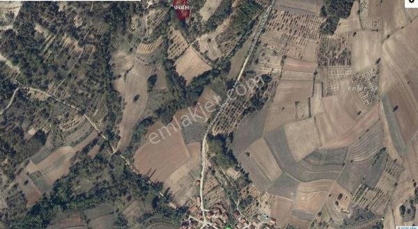 Bilecik Yenipazar'da 1283 M2 Bahçe Resmi Yollu