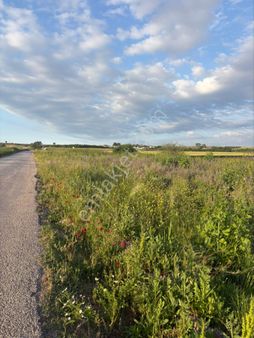 İlkim Gayrimenkulden Ergili Mahallesinde Kadastro Yola Cephe Satılık Tarla Bandırma