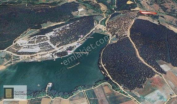 Doğancı'da Satılık 7.744m2 Arazi Dağyenice Göletine 550 Metre