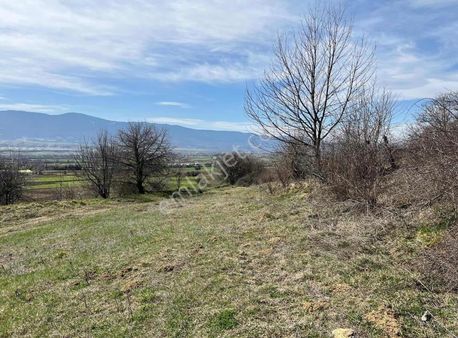 Çarşı Emlaktan Yakabayat Köyünde Tarla