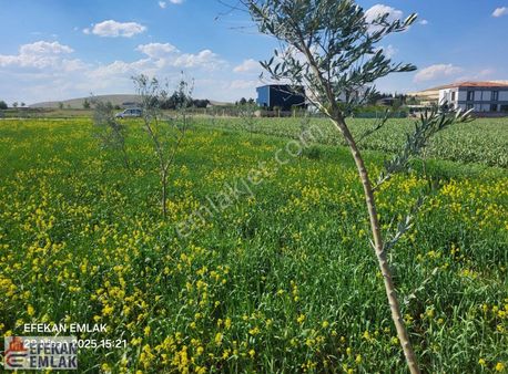 Gaziantep Oğuzeli Körkün Satılık Bağ Evlik İmar Yani