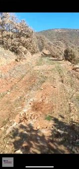 Salihli Derbent Mah.de Mükemmel Konumunda Fırsat Tarla