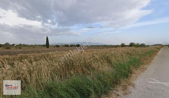 Yukarı Çobanisa'da Mükemmel Konumda Tarla