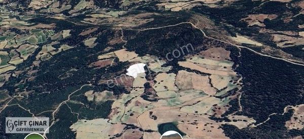 Sarıgöl Yeniköy'de Köye 1500 Metre Mesafede Tarla