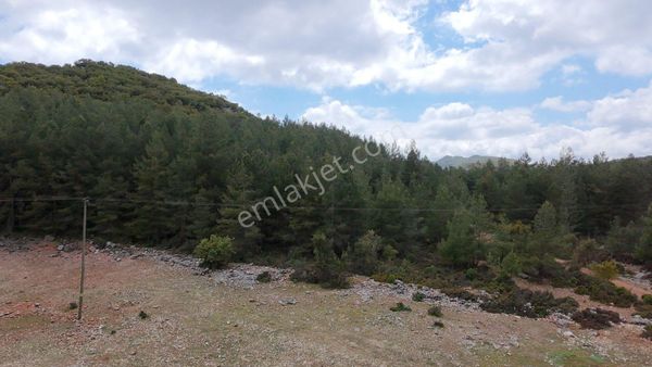 Antalya Demre Satılık Tarla Yavu