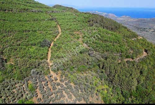 Bursa Nilüfer Korubaşında Satılık445m2 Arazi