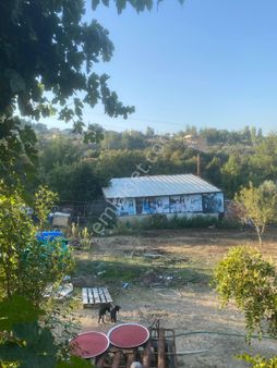 Manisa Yunus Emre Avdal Köyünde 3250 M2 İçinde 100 M2 Ev