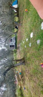 Bursa Emlak Alem-i630 M2 Yola Cepheli Hobi Bahçesi