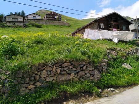 61nostalji Emlak'tan Uzungölde Satılık Arsa Tarla