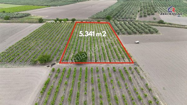 Zeki Emlak'tan Karayenice Mh. Yola Sıfır Satılık 5341 M ² Bağ