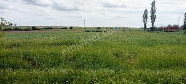 Edirne Süleymandanişment Köyünde Satılık Köy Evi Yanında Tarlası