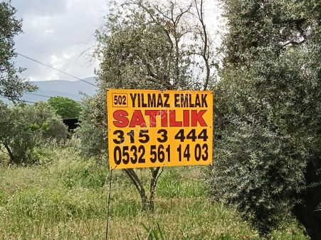 502 Karacasu Esençay Mah De Satılık Arsa Asfalta Sıfır İmar Sahası İçinde