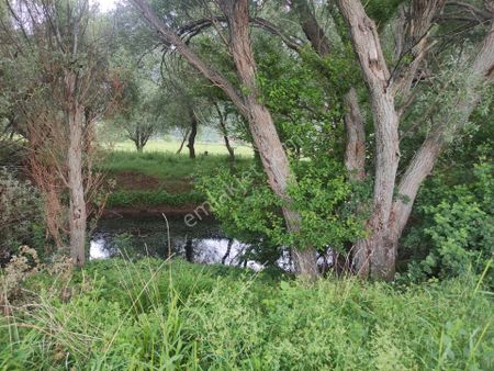 Konya Seydişehir Taşağıl Mah. Satılık Tarla 1657 M2 Etrafı Tel İle Çevrili