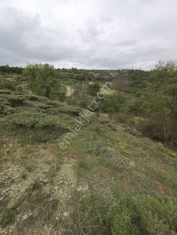 Bolu-göynük-kilciler Köyün De İmar Sınırında Satılık Arazi