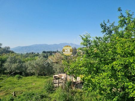 Hb'den Satılık Müstakil Ev, Şahnalı'da 659 M² Bahçeli