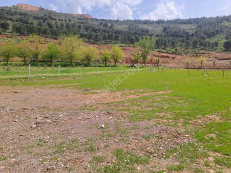 Coldwell Banker' Dan Altınova Da Satılık Arsa