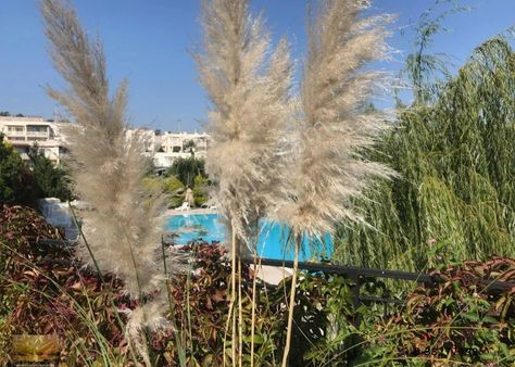 Büyük Köşe Bahçeli Satılık Ev Kumsal Yakın Sitede Plaj İmkanlı