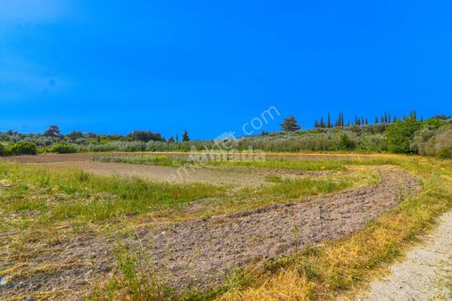 Kuşadası Davutlar'da Yatırımlık 314 M2 Satılık Villa Arsası