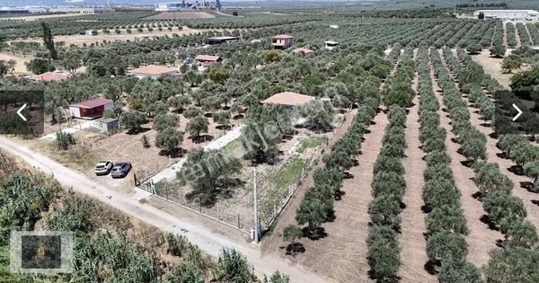 Doğuca Harika Konumda 1020 M2 Arazi Ve 85 M2 2+1 Villa