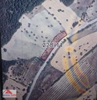 Eceabat-bigalı Köyü Asfalt Yoluna 120 Metre Cephe 2.355 M2 Arazi