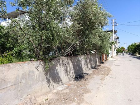 İzmir Torbalı Ayrancılar Satılık Arsa