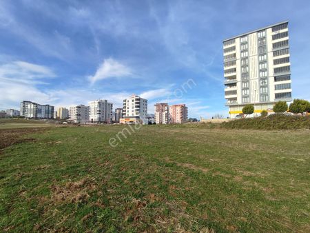 Çobanlıda 2576 M2 Fırsat Tarla