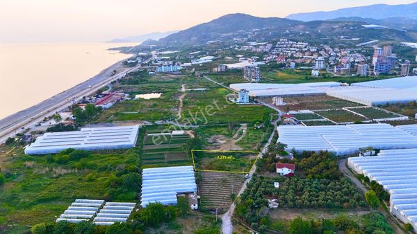 Satılık 2.275m² Tta (turizm Tesis Alanı) İmarlı Otel Arsası