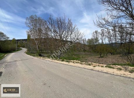 Keles Sorgun'da Köyün Dibinde Tek Tapu Dümdüz Arazi