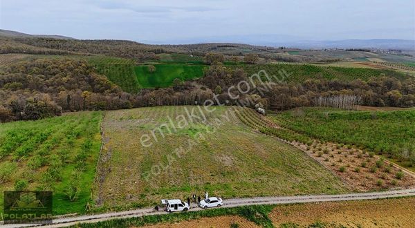 Sakarya Elmalı 21.530 M2 İmar Sınırında Şekli Düzgün Resmi Yollu