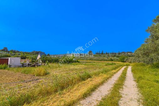 Kuşadası Davutlar'da Yatırımlık 305 M2 Satılık Villa Arsası