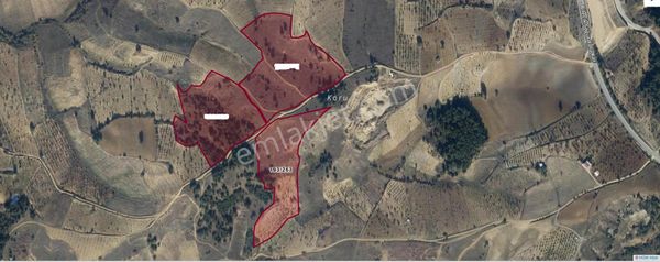 Bilecik Söğüt Küre Köyü Satılık 20239 M2 Tarla