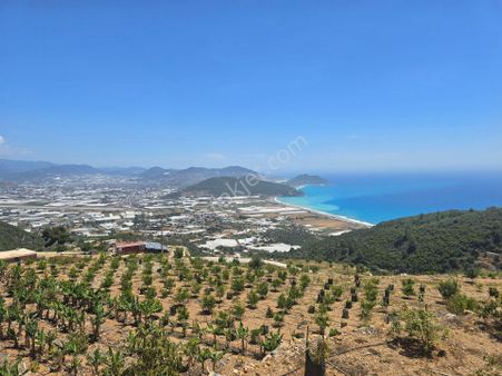 Gazipaşada Yatırım Fırsatı Sizlerle 19.000 M2 Satılık Arsa