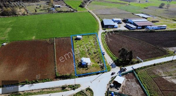 Asfalta Cephe Yapı Kayıt Belgeli Satılık Meyve Bahçesi