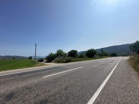 -nazilli Bozdoğan Yolu Üzeri Asfalta Sıfır Satılık Tarla