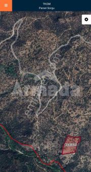 Aydın Söke Kaykıllı'da Satılık Zeytinlik