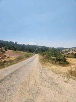 Balıkesir Sındırgı'da 1.470 M2 Kaplıca Bölgesinde Çift Yola Cephe Dümdüz Fırsat Arazi