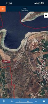 Panoramavi Den Cüceli De Satlık Zeytinlik