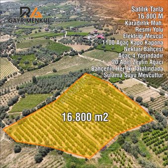 Ra Gayrimenkul Karadirlik Mh.satılık Nektari Bahçesi