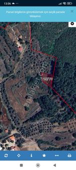 Çiftlik'te Satılık Tarla