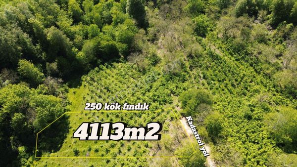 Bilgin Emlaktan Merkeze Yakınsatılık Hobi Bahçesi