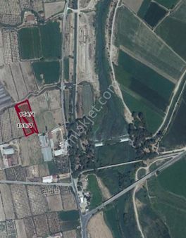 Nazilli-bozdoğan - Yenipazar Yolu Kavşağına Yakın Mevkide Satılık Tarla