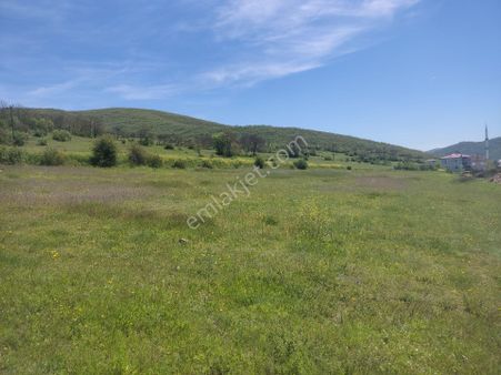 Ali Erişgin'den Satılık Tarla 8393 M. Köy İçi Tapulu Samsun Çakallı'da (pazarlıklı)
