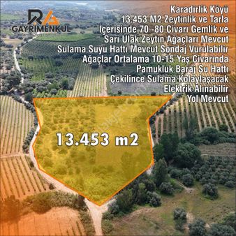 Ra Gayrimenkul Karadirlik Mh.13.453 M2 Satılık Zeytinlik-tarla