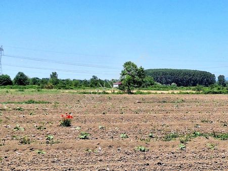 Erenler Kamışlı Mahallesinde Satılık 3.370 M2 Tarla